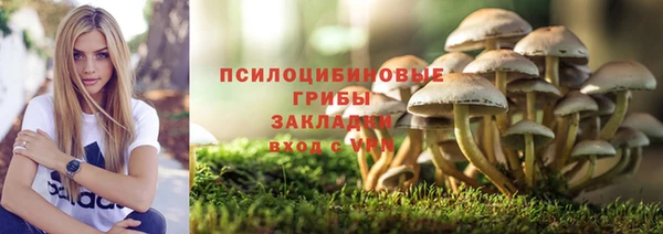 а пвп мука Балахна