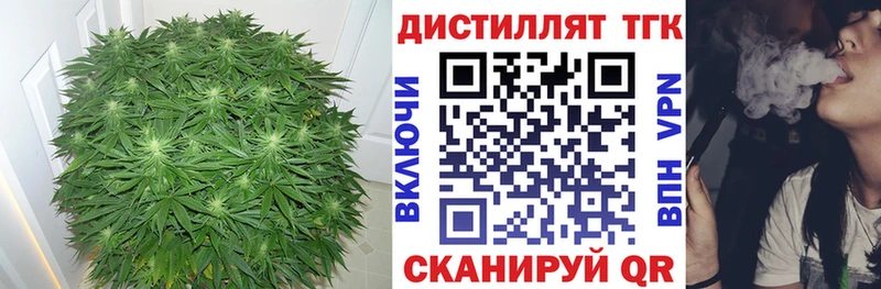 ТГК Wax  Корсаков 