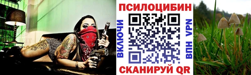Галлюциногенные грибы Psilocybine cubensis Корсаков