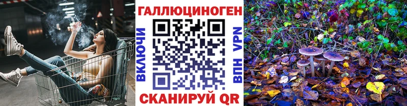 Галлюциногенные грибы мицелий  Корсаков 