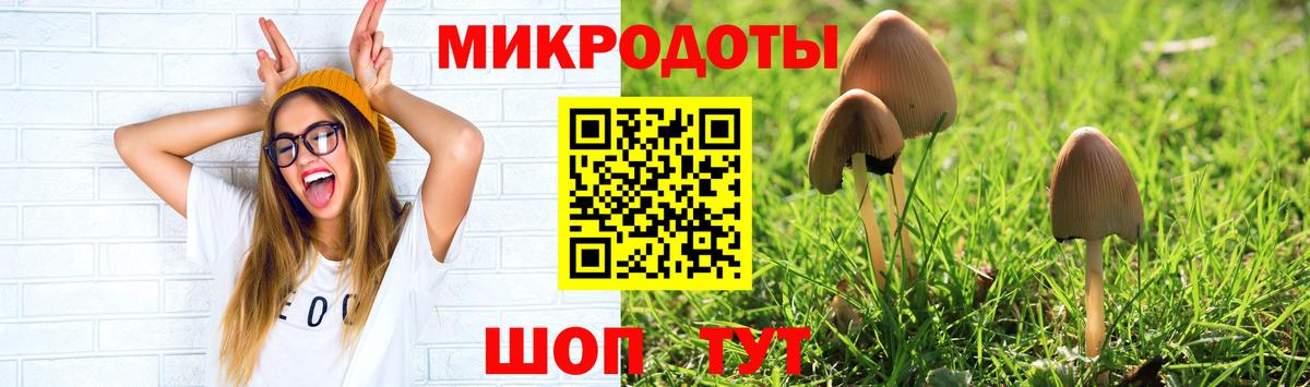 Корсаков  цены наркотик  Вход с VPN  Псилоцибиновые грибы Cubensis  Псилоцибиновые грибы GOLDEN TEACHER 
