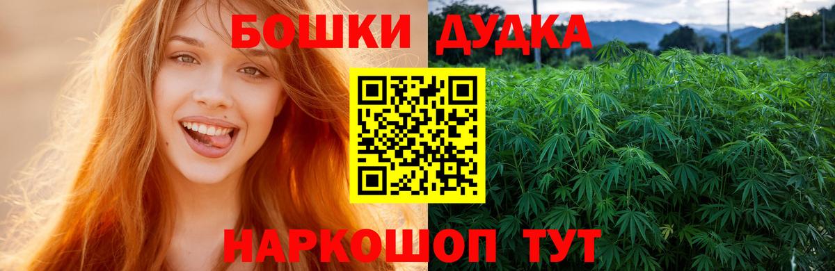 Марихуана гибрид Корсаков